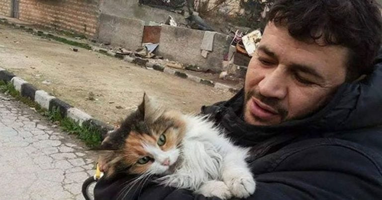 Un om dintr-o țară sfâșiată de război refuză să renunțe la pisicile lui