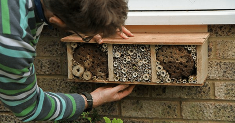 Vă propunem un proiect de weekend: un hotel pentru albine în trei pași