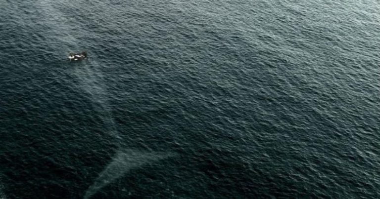 Fotografii care te vor face să te gândești bine înainte de a intra în ape adânci