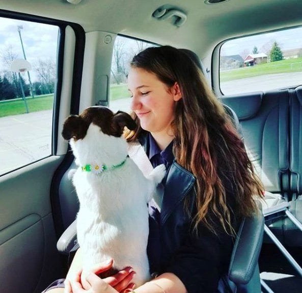 O poveste cu final fericit pentru un câine fără nas! Priviți cum arată acum!