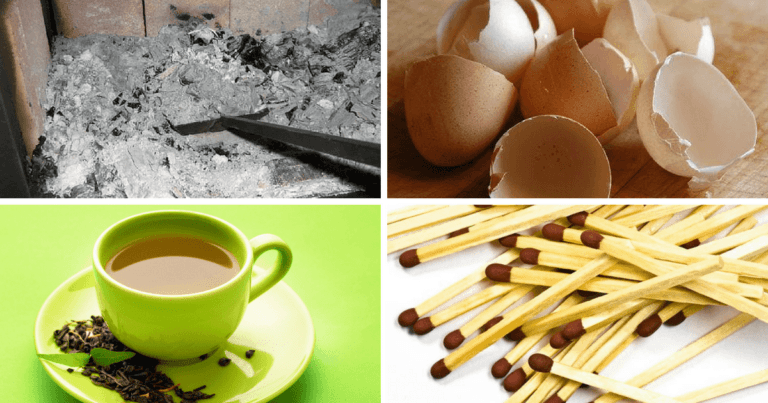 10 Lucruri de uz caznic care vor face, surprinzător, ca plantele să vă crească