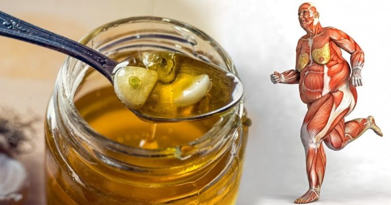8 Lucruri care se vor întâmpla in  corpul dumneavoastră dacă începeți să mâncați miere în fiecare zi
