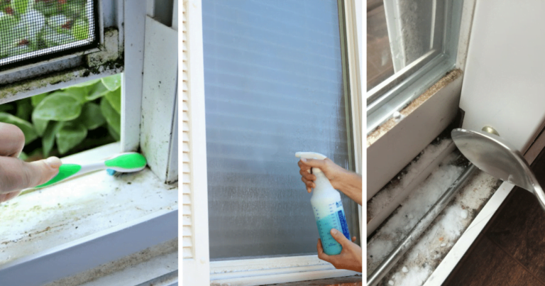 7 trucuri pentru a spăla geamurile. Sunt foarte utile!
