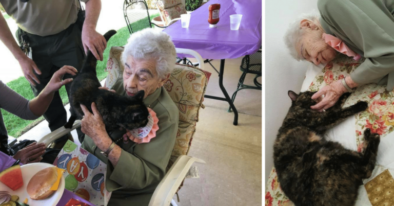 O femeie de 103 ani a primit de ziua ei o pisică cadou. Priviți cât este de fericită acum!